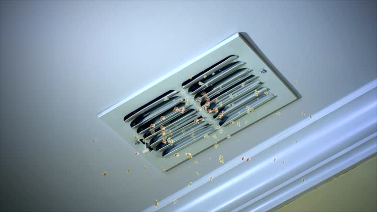 Best Home Air Vent Cleaning  in Houston, TX